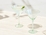 Maxwell & Williams Glamour Martini Glass 230ML Set of 2 Green Gift Boxed
