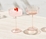 Maxwell & Williams Glamour Coupe Glass 240ML Set of 2 Coral Gift Boxed