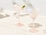 Maxwell & Williams Glamour Martini Glass 230ML Set of 2 Coral Gift Boxed