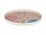 Maxwell & Williams Lou Martin Uplift Melamine Plate 20x2cm Set of 4