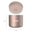 Bentgo Stainless Steel Insulated Food Container 560ml Rose Gold